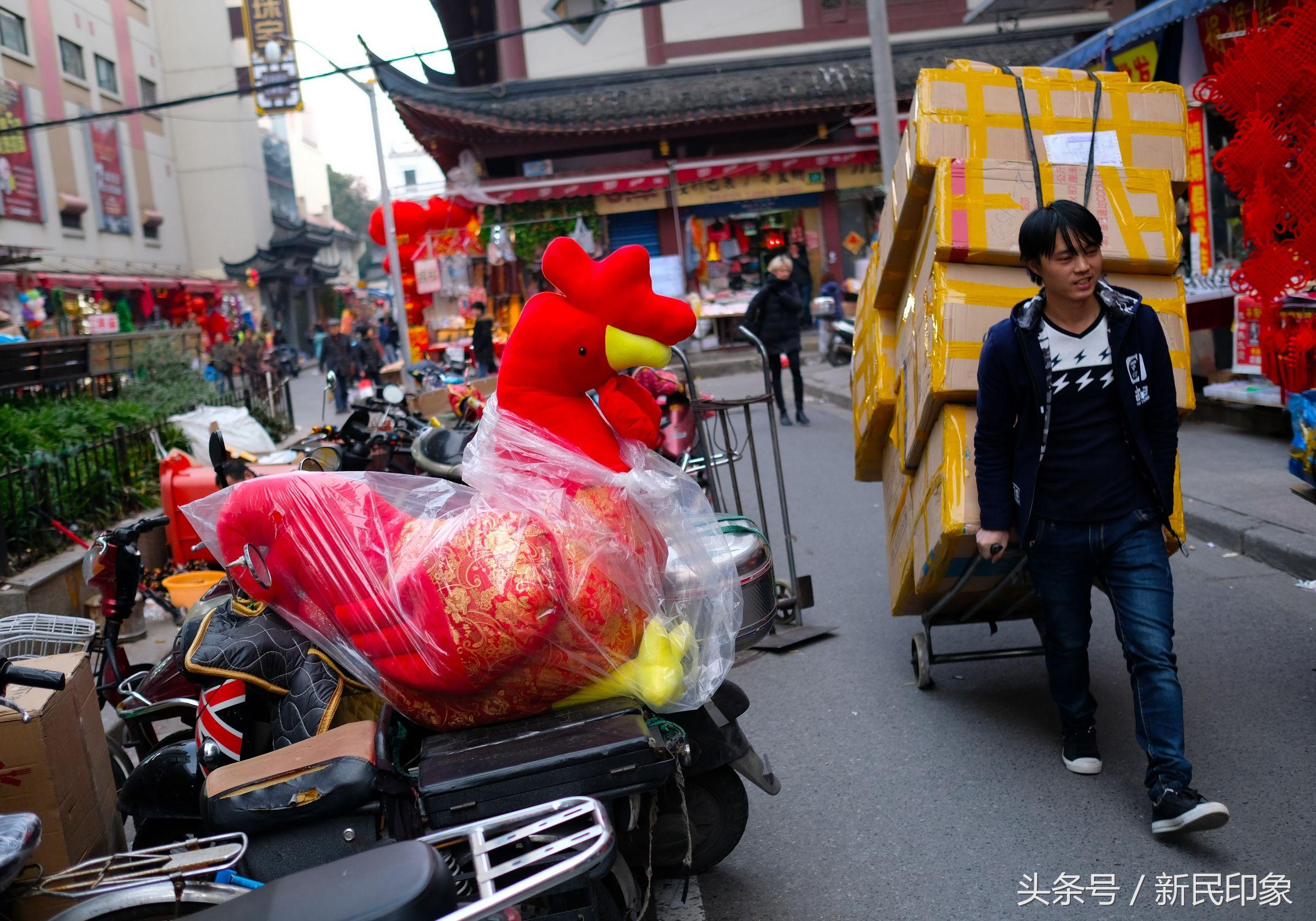 金鸡报晓是什么生肖_数据导向执行策略