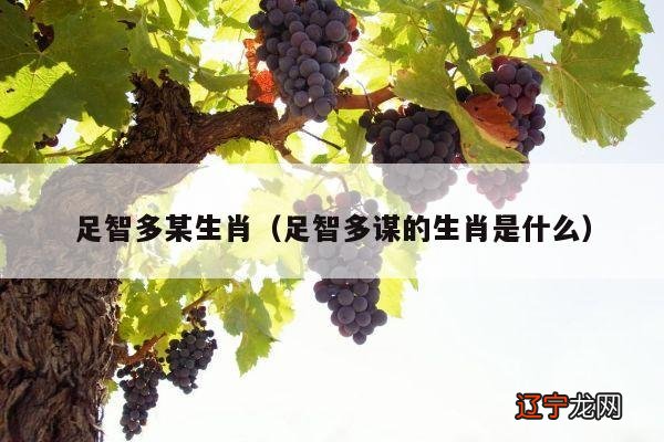 足智多谋是什么生肖_权威评估解答解释方法