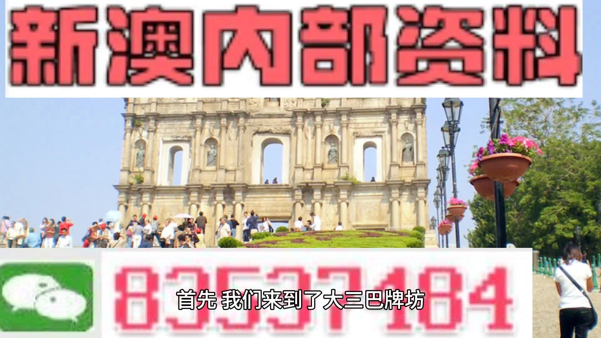 新澳2024正版免费资料,健康解答解释落实_幻影版K56.225