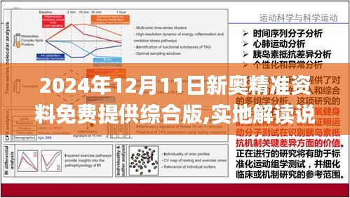 2024新奥资料免费精准109,多维路径研究解答解释_和谐集L57.964