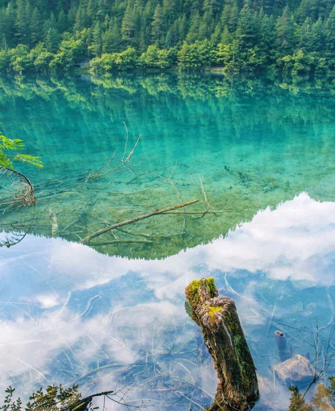 探寻九寨沟美景新篇章——最新门票启航