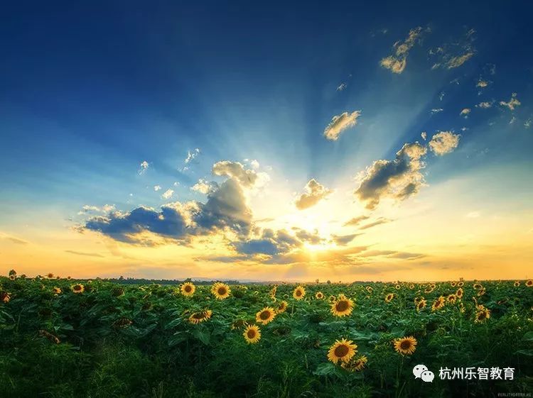 盛夏雨露润心田，喜迎新一轮甘霖降临