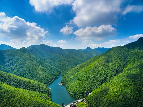 绿意盎然百里竹海，旅游发展前景无限