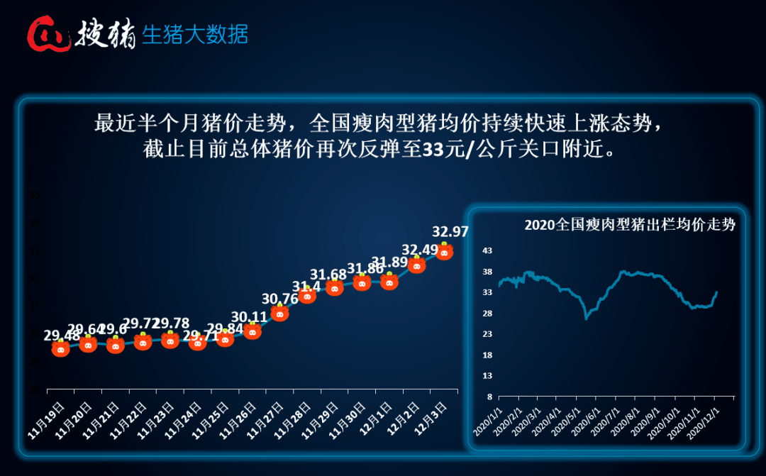 最新猪市行情动态