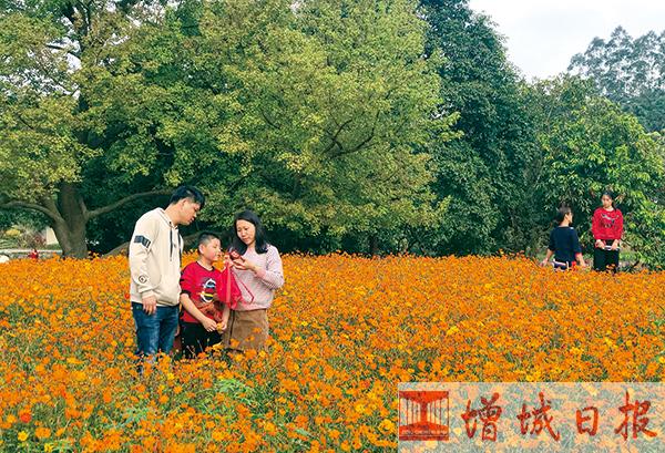 春回大地，繁花似锦——探秘最新春暖花开论坛官方网站入口