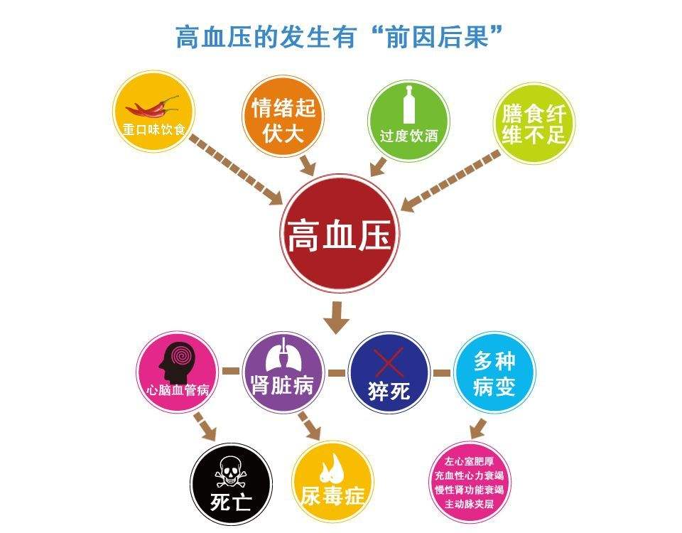 2025年度高血压诊断与治疗全新标准解读揭晓